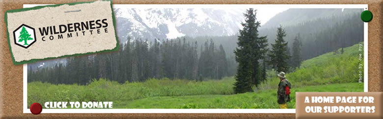 Wilderness Committee
